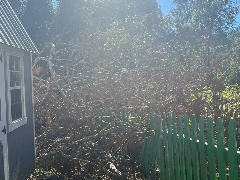 storm damage restoration