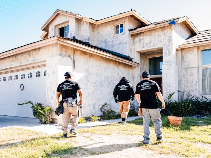 professional mold inspection